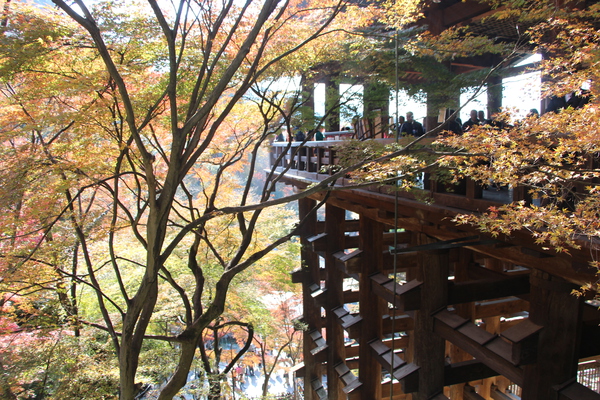 秋の京都・清水寺「本堂舞台の懸け造り」/癒し憩い画像データベース