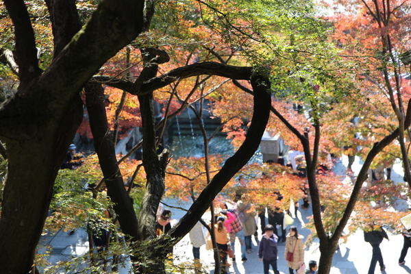 秋の京都・清水寺/癒し憩い画像データベース