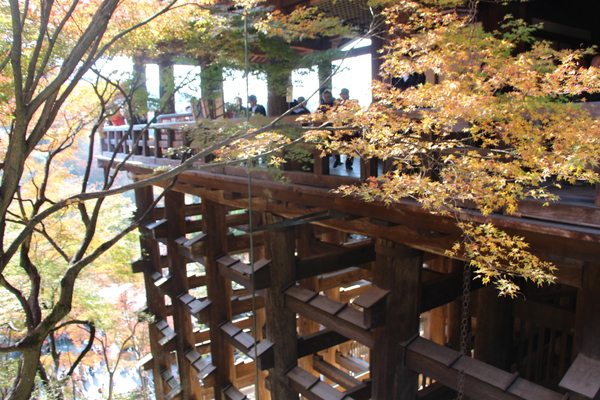 京都・清水寺「本堂舞台の懸け造り」と黄葉/癒し憩い画像データベース