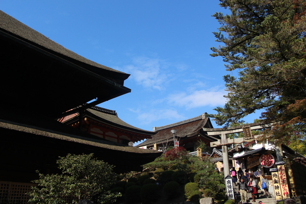 青空と京都・清水寺「地主神社」/癒し憩い画像データベース