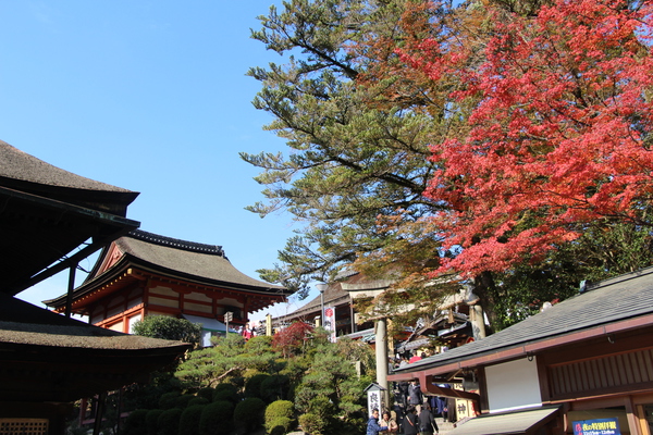 秋の京都・清水寺「地主神社」/癒し憩い画像データベース