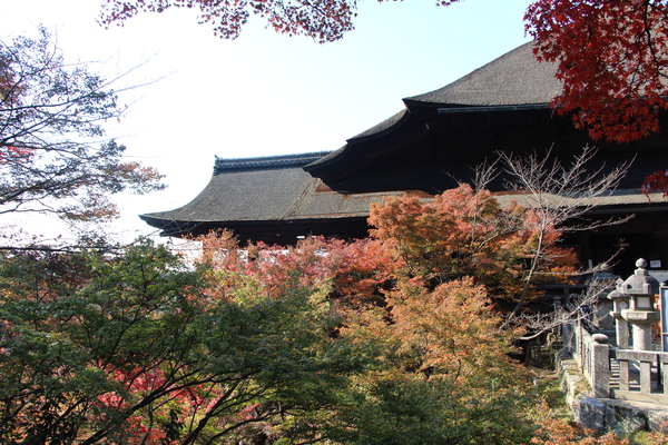 秋の京都・清水寺「本堂舞台」