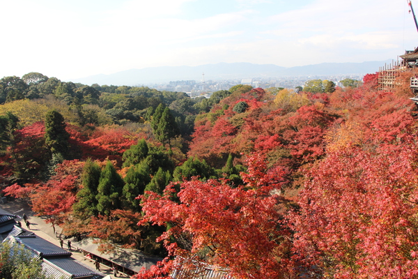 秋の京都・清水寺/癒し憩い画像データベース