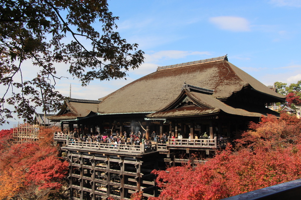 秋の清水寺「本堂舞台」/癒し憩い画像データベース