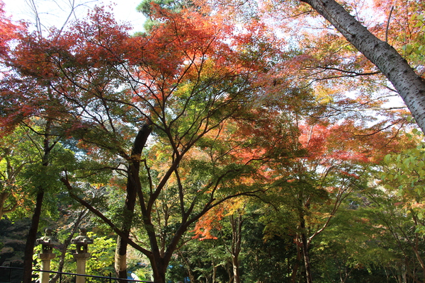 京都・清水寺の秋模様