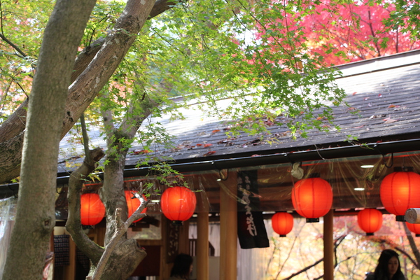 秋の京都・清水寺「参道風情」