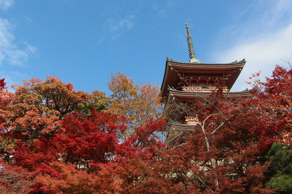 紅葉の京都・清水寺「三重塔」/癒し憩い画像データベース