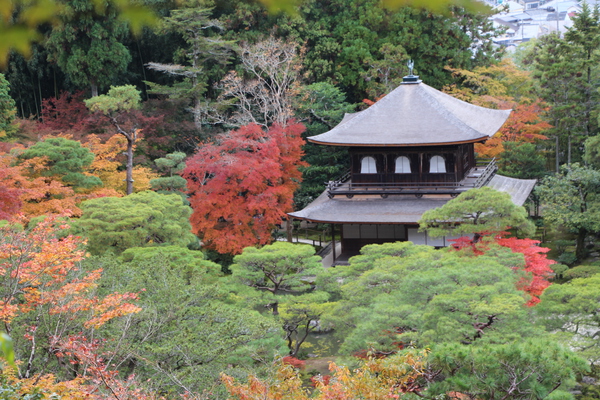 秋の京都・銀閣（観音殿）