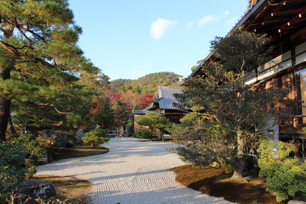 秋の金閣寺「方丈」と庭園