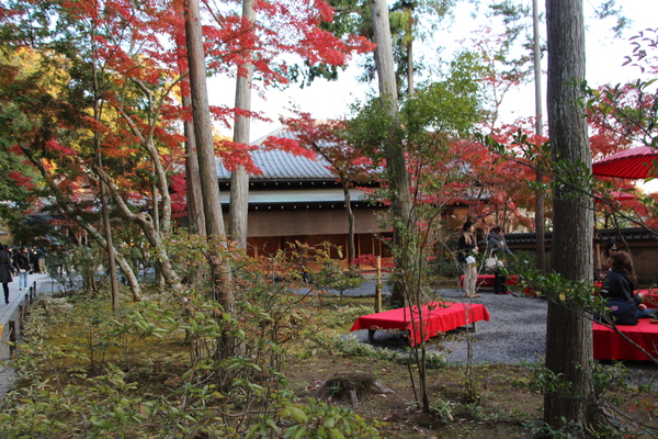 京都・金閣寺の秋風情
