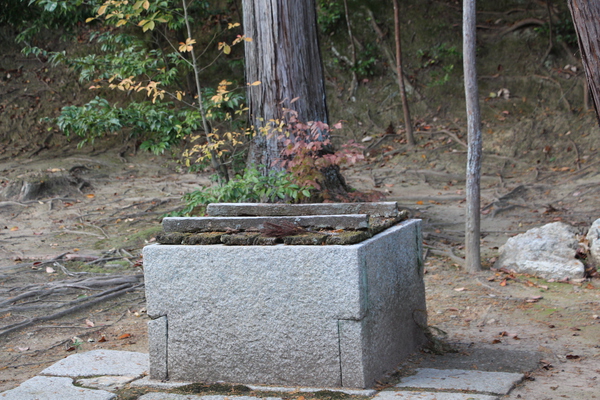 京都・金閣寺の「古い井戸」風情