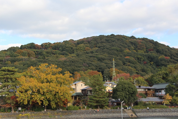 宇治川と秋模様の山森