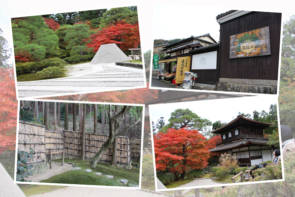 秋・紅葉期の京都「銀閣寺」/癒し憩い画像データベース