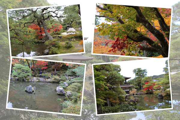 秋の京都・銀閣寺「錦鏡池と庭園」