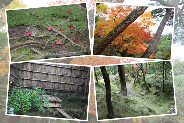 秋の京都・銀閣寺「森林と竹の風情」