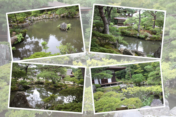 夏緑の京都・銀閣寺「錦鏡池」/癒し憩い画像データベース