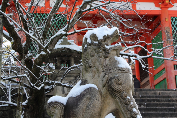 冬の京都・清水寺「仁王門前の狛犬」