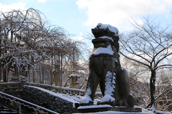 冬の京都・清水寺「仁王門前の狛犬」