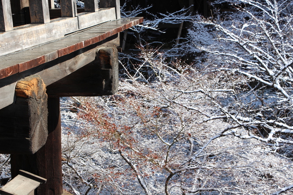 冬の京都・清水寺「本堂舞台」と樹氷