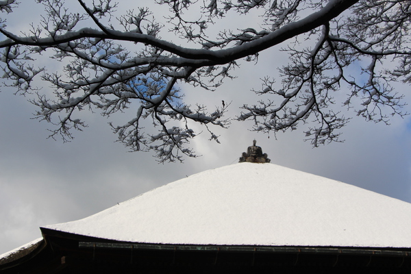 積雪の清水寺「本堂屋根」