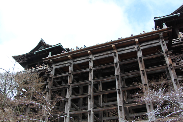 冬木立と京都・清水寺「懸け造り舞台」