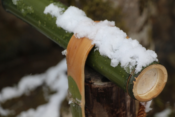 積雪の竹情緒