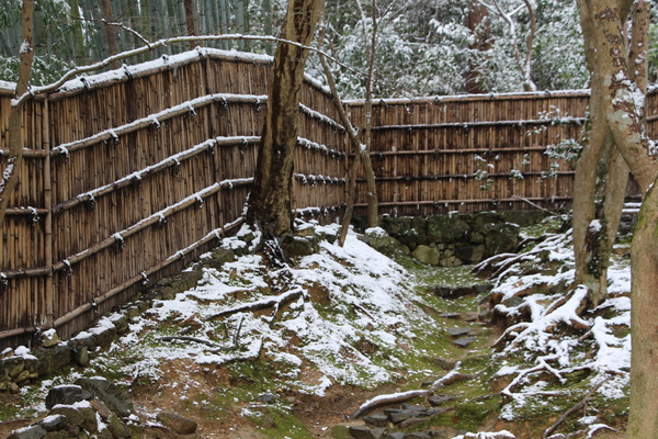 銀閣寺「雪の竹垣と木の根」