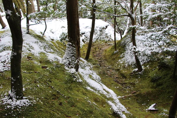 雪の京都 銀閣寺 苔の庭と疎林 癒し憩い画像データベース