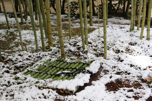 雪の京都・銀閣寺「竹林風情」