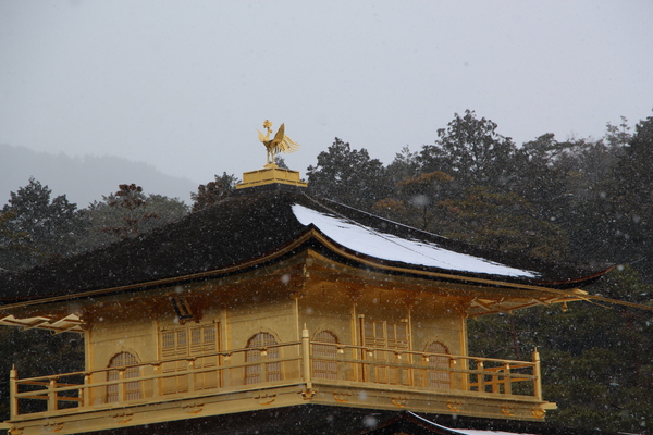 雪の京都・金閣寺「舎利殿（金閣）」近景