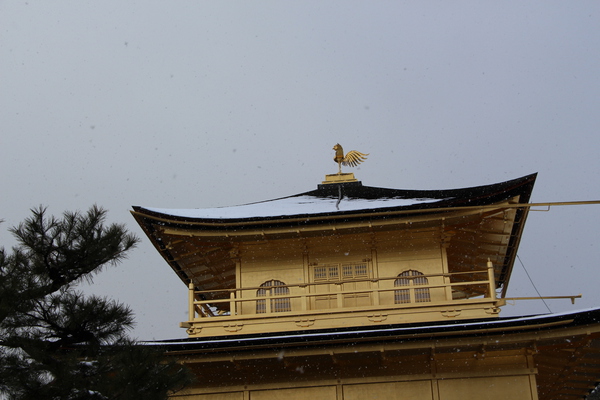 雪の京都・金閣寺「舎利殿（金閣）」近景