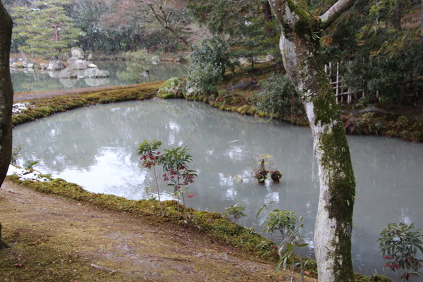 雪の京都・金閣寺「鏡湖池」周辺