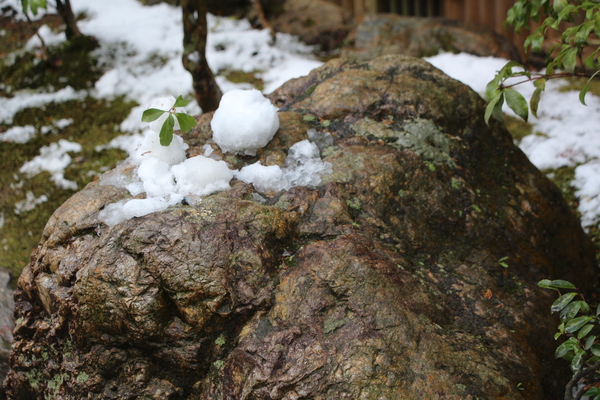 積雪と雪解けの岩