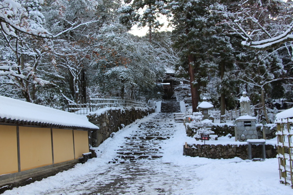 雪の西明寺「参道と本坊の塀」