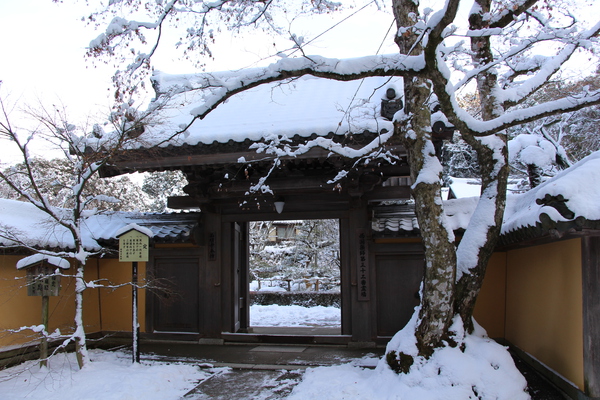 雪の湖東・西明寺「本坊への門」