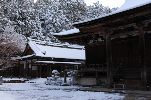 湖東・西明寺「積雪の本堂と境内」