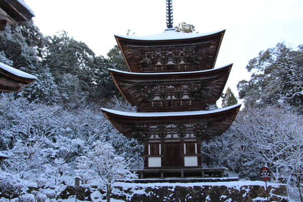 雪の湖東・西明寺「三重塔と樹氷」/癒し憩い画像データベース