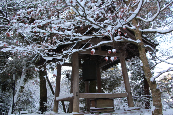 雪の西明寺「鐘楼と冬木立」