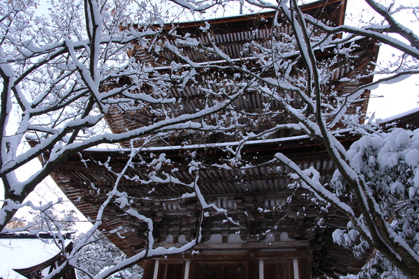 雪の湖東・西明寺「積雪の枝と三重塔」