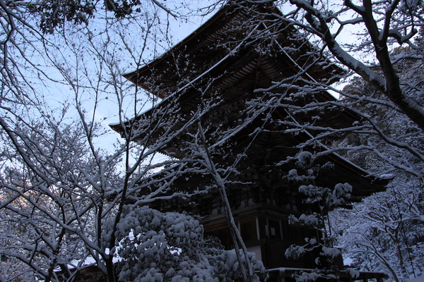 湖東・西明寺「斜めから見た雪の三重塔」