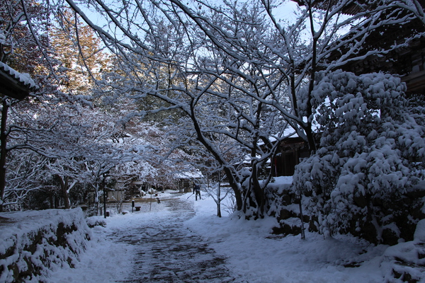 湖東三山の西明寺「積雪の境内
」