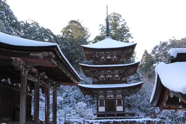 雪の湖東・西明寺「三重塔」/癒し憩い画像データベース