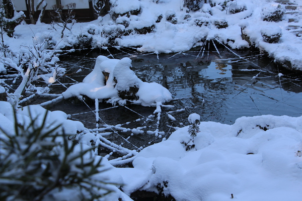 雪の湖東・西明寺「本坊の庭園池」