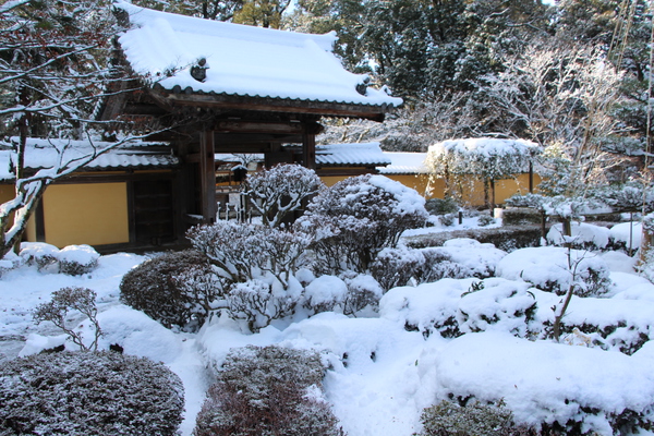 雪の湖東・西明寺「本坊庭園」