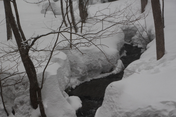 雪の奥入瀬渓流「深い積雪と細流」