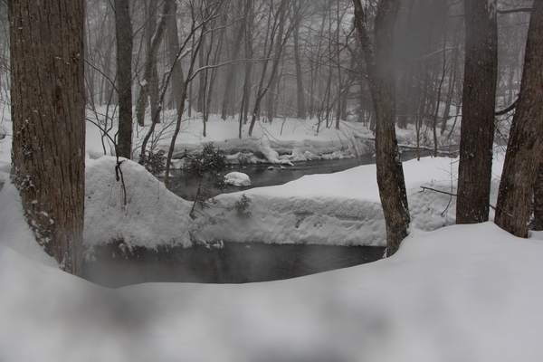 降雪にかすむ奥入瀬渓流