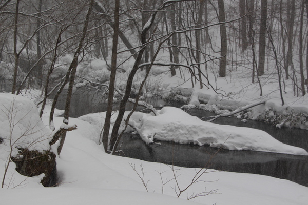 積雪期の奥入瀬渓流
