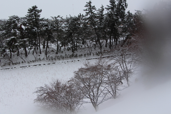 積雪の弘前城「氷雪の蓮池」