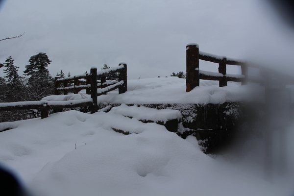 積雪の弘前城「展望台」/癒し憩い画像データベース