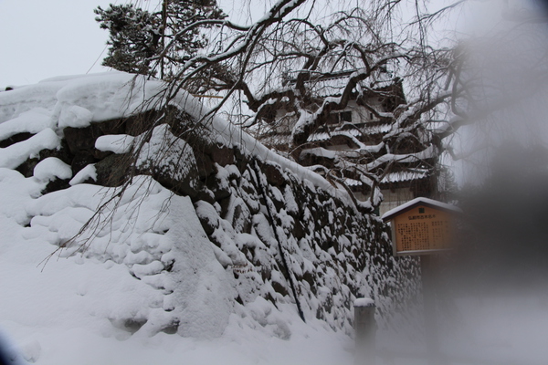 積雪の弘前城「枝垂桜と天守閣」